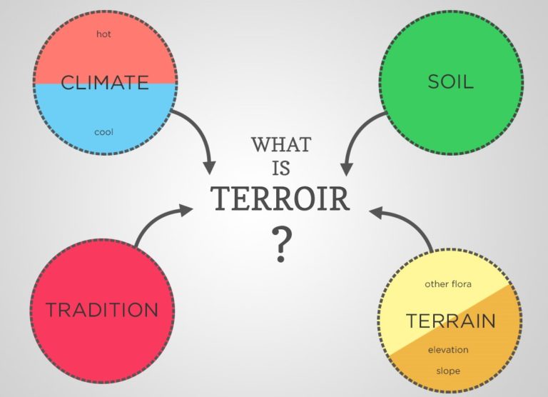 An image depecting what Terroir is.