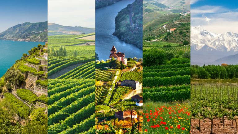 A collage of vineyards, waterways, and mountains.